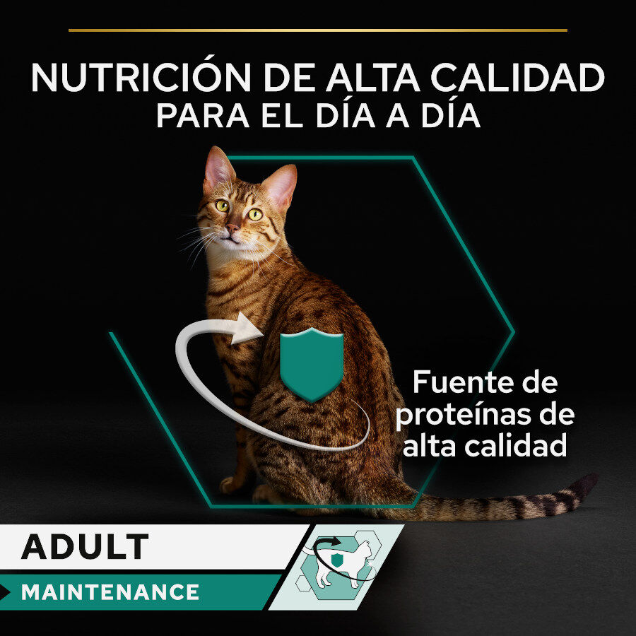 85 g Pro Plan Adult Maintenance Terrina rico en pollo para gatos, , large Imagen numero 2